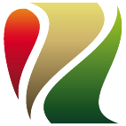 Logo 35: Mostrare i layout con questo logo