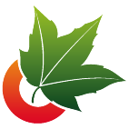 Logo 37: Mostrare i layout con questo logo