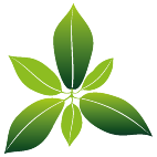 Logo 40: Mostrare i layout con questo logo