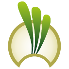 Logo 42: Mostrare i layout con questo logo