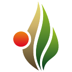 Logo 43: Mostrare i layout con questo logo