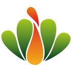 Logo 46: Mostrare i layout con questo logo