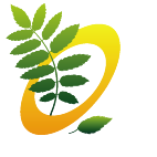 Logo 47: Mostrare i layout con questo logo