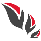 Logo 75: Mostrare i layout con questo logo