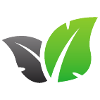 Logo 384: Mostrare i layout con questo logo