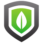 Logo 389: Mostrare i layout con questo logo