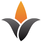 Logo 394: Mostrare i layout con questo logo