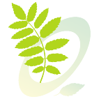 Logo 455: Mostrare i layout con questo logo