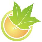 Logo 458: Mostrare i layout con questo logo