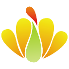 Logo 472: Mostrare i layout con questo logo