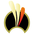 Logo 718: Mostrare i layout con questo logo