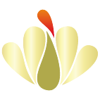 Logo 728: Mostrare i layout con questo logo