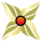 Logo 737: Mostrare i layout con questo logo