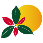 Logo 743: Mostrare i layout con questo logo