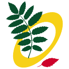 Logo 746: Mostrare i layout con questo logo