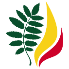 Logo 748: Mostrare i layout con questo logo