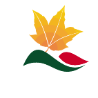 Logo 752: Mostrare i layout con questo logo