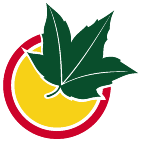 Logo 754: Mostrare i layout con questo logo