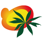 Logo 757: Mostrare i layout con questo logo