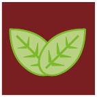 Logo 775: Mostrare i layout con questo logo