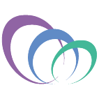 Logo 911: Mostrare i layout con questo logo