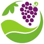 Logo 1102: Mostrare i layout con questo logo