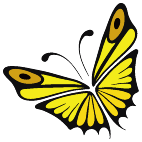 Logo 1117: Mostrare i layout con questo logo