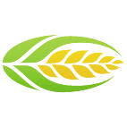 Logo 1711: Mostrare i layout con questo logo