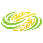 Logo 1713: Mostrare i layout con questo logo