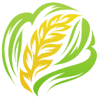 Logo 1716: Mostrare i layout con questo logo