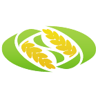 Logo 1721: Mostrare i layout con questo logo