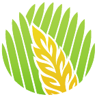 Logo 1723: Mostrare i layout con questo logo