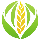 Logo 1726: Mostrare i layout con questo logo