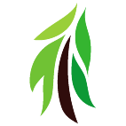 Logo 1755: Mostrare i layout con questo logo