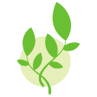 Logo 1843: Mostrare i layout con questo logo