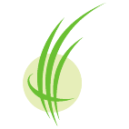 Logo 1846: Mostrare i layout con questo logo