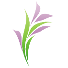 Logo 1855: Mostrare i layout con questo logo