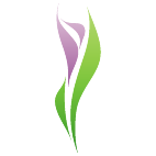 Logo 1857: Mostrare i layout con questo logo