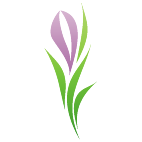 Logo 1860: Mostrare i layout con questo logo