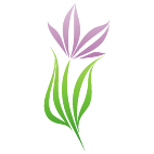 Logo 1863: Mostrare i layout con questo logo