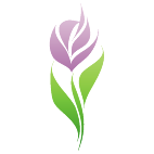 Logo 1864: Mostrare i layout con questo logo