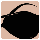 Logo 1874: Mostrare i layout con questo logo