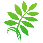 Logo 1913: Mostrare i layout con questo logo