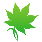 Logo 1914: Mostrare i layout con questo logo