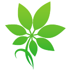 Logo 1915: Mostrare i layout con questo logo