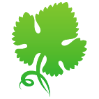 Logo 1919: Mostrare i layout con questo logo