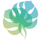 Logo 2026: Mostrare i layout con questo logo