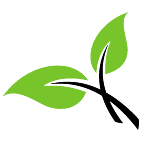 Logo 2080: Mostrare i layout con questo logo