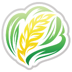 Logo 2100: Mostrare i layout con questo logo