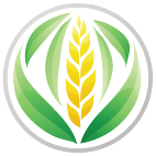 Logo 2102: Mostrare i layout con questo logo